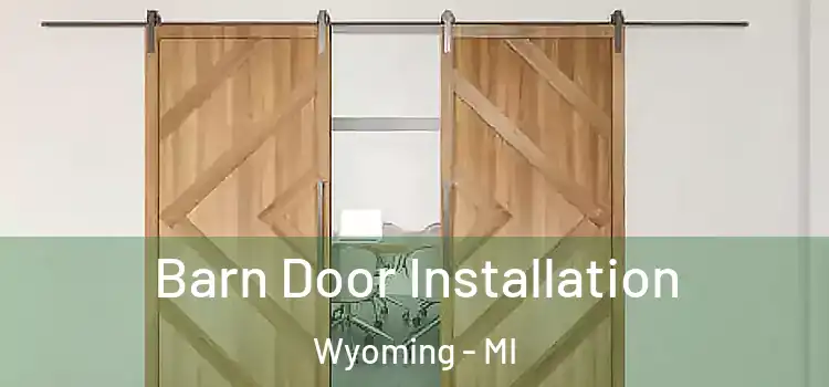 Barn Door Installation Wyoming - MI