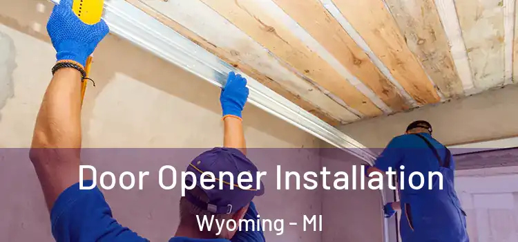  Door Opener Installation Wyoming - MI