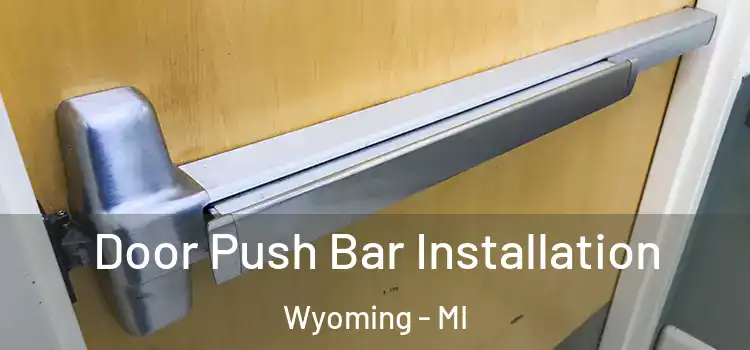  Door Push Bar Installation Wyoming - MI