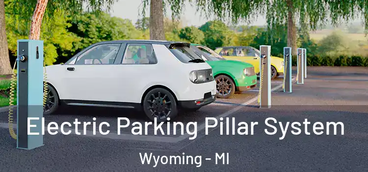  Electric Parking Pillar System Wyoming - MI