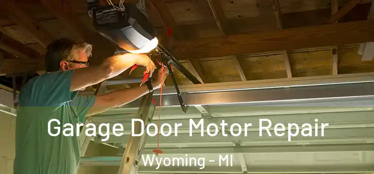  Garage Door Motor Repair Wyoming - MI