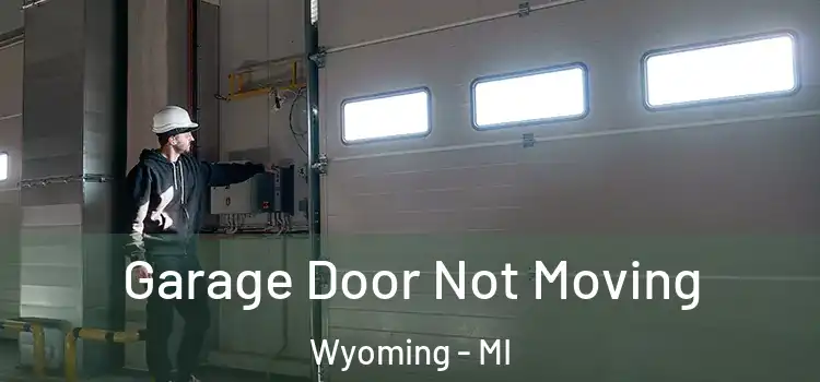  Garage Door Not Moving Wyoming - MI