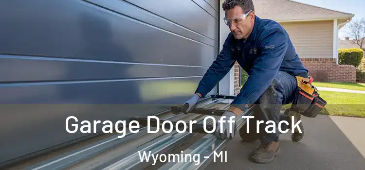  Garage Door Off Track Wyoming - MI