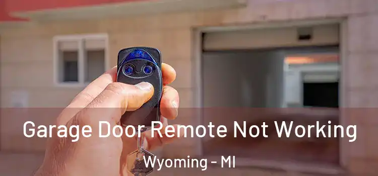  Garage Door Remote Not Working Wyoming - MI
