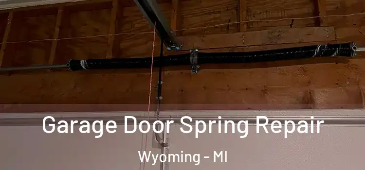 Garage Door Spring Repair Wyoming - MI