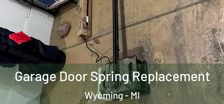  Garage Door Spring Replacement Wyoming - MI