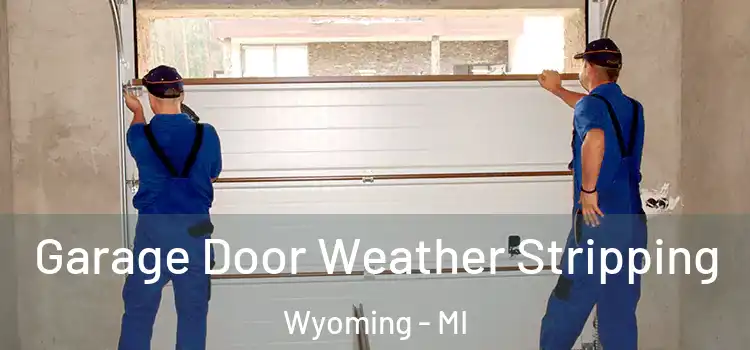  Garage Door Weather Stripping Wyoming - MI