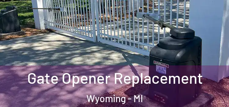  Gate Opener Replacement Wyoming - MI