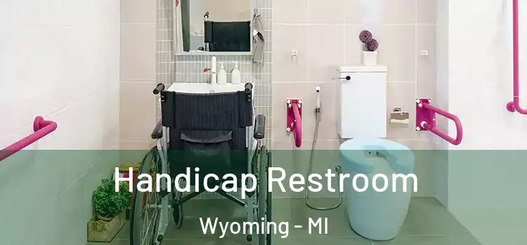  Handicap Restroom Wyoming - MI