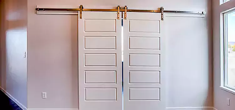 Glass Barn Door with Installation Hardware Kit Wyoming