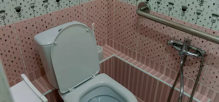 Meeting Diverse Needs With Accessible Restroom Solutions in Wyoming, MI