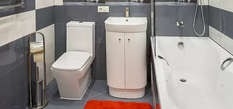 Hansgrohe Shaving Mirror Wyoming