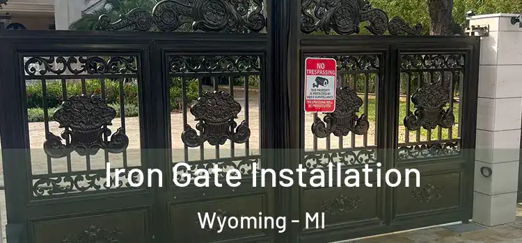  Iron Gate Installation Wyoming - MI