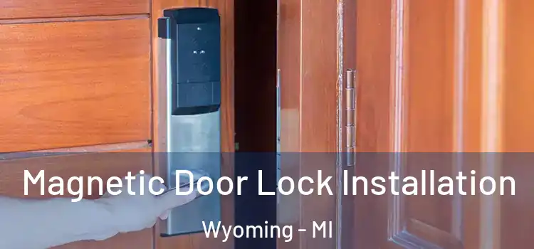  Magnetic Door Lock Installation Wyoming - MI