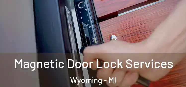  Magnetic Door Lock Services Wyoming - MI