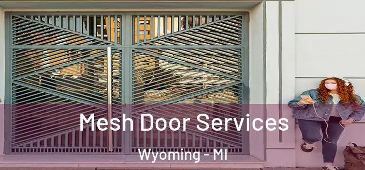  Mesh Door Services Wyoming - MI