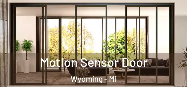  Motion Sensor Door Wyoming - MI
