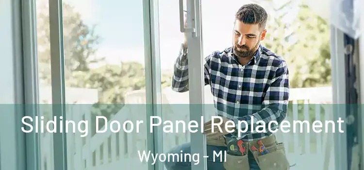  Sliding Door Panel Replacement Wyoming - MI