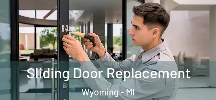  Sliding Door Replacement Wyoming - MI