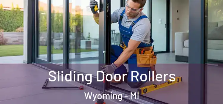  Sliding Door Rollers Wyoming - MI