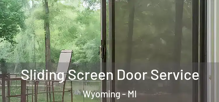  Sliding Screen Door Service Wyoming - MI