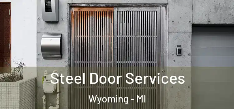  Steel Door Services Wyoming - MI